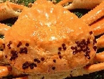 カニ カナダ産とロシア産の違い